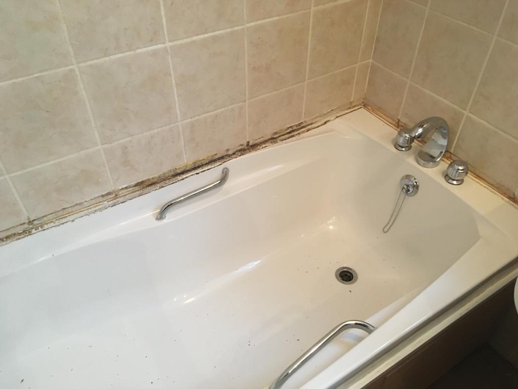 Mastic Solutions Cut out and re-seal