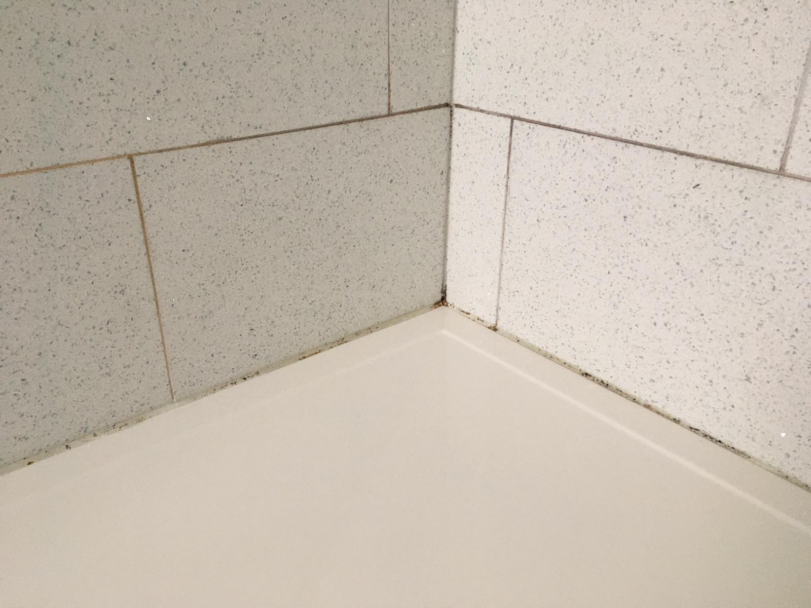 Mastic Solutions Cut out and re-seal