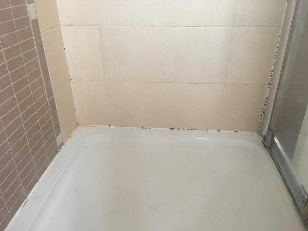 Mastic Solutions Cut out and re-seal